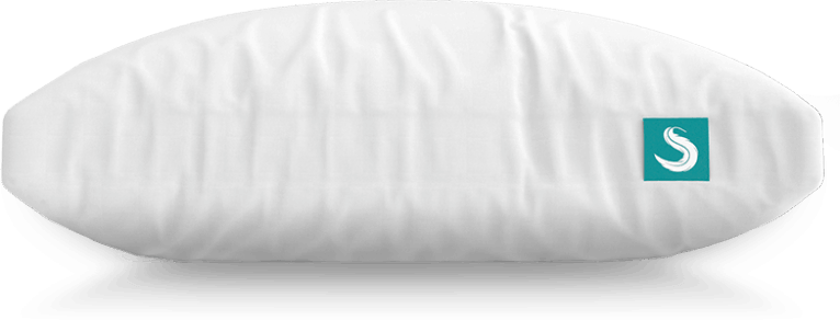 buy Sleepgram Pillows